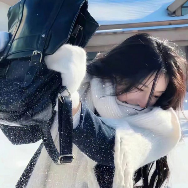 势不两立粤语